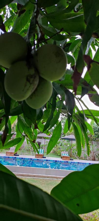 Mango Tree Villa Бентота Екстериор снимка